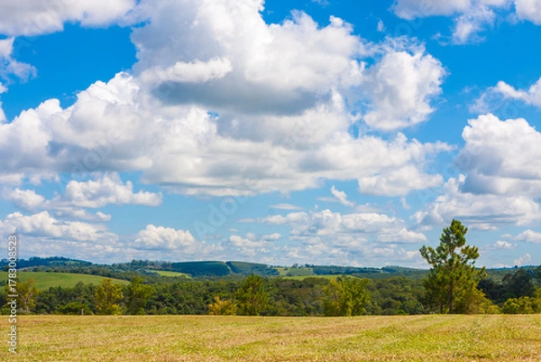 Obraz Green field under blue sky with white clouds