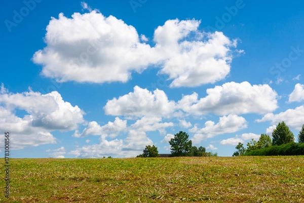 Obraz Green field under blue sky with white clouds