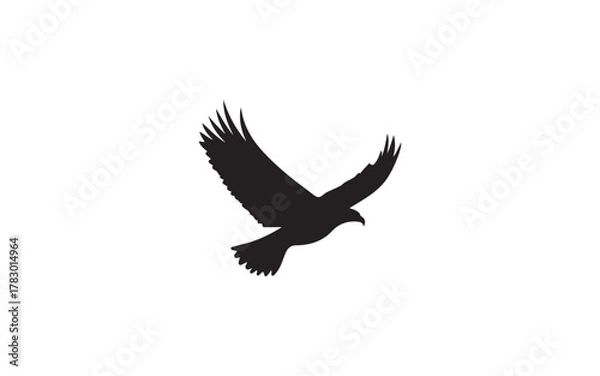 Obraz eagle isolated on white background