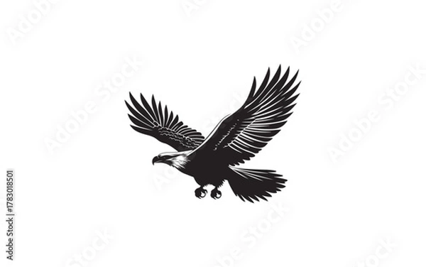 Obraz eagle on white background