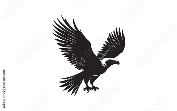 Obraz eagle in the sky