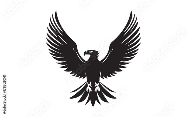 Obraz eagle in flight