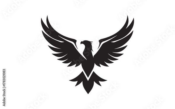 Obraz eagle in flight