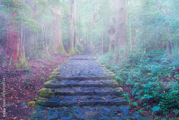 Obraz 熊野古道大門坂