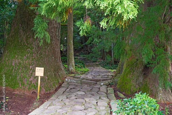 Obraz 熊野古道大門坂