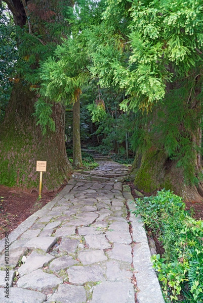 Obraz 熊野古道大門坂
