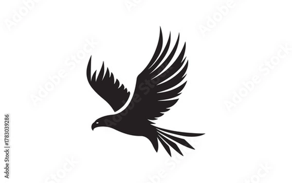 Obraz eagle vector illustration