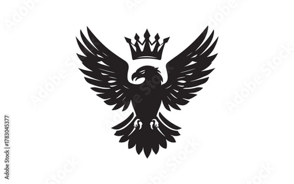 Obraz eagle with wings