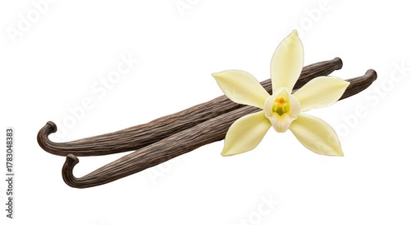 Fototapeta Aromatic Vanilla Pods and Fresh Blossom on Dark Background