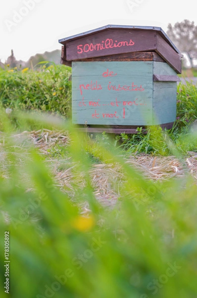 Obraz Biodiversité - ruche