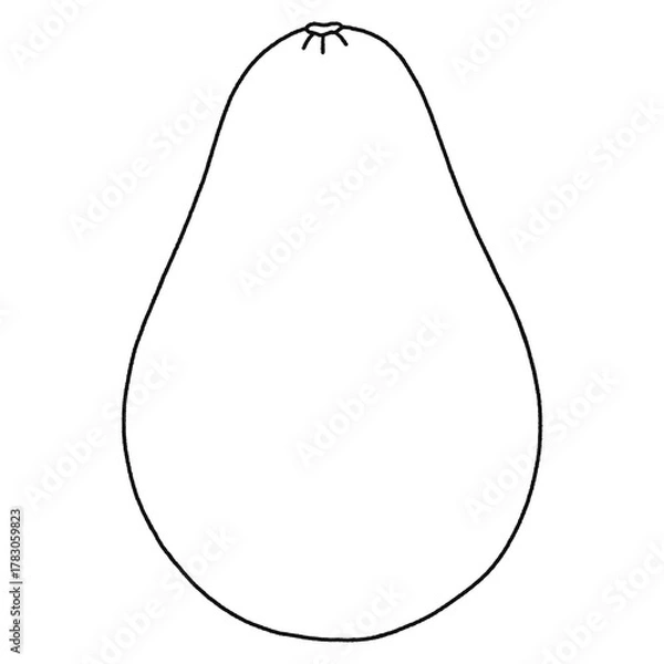 Obraz Cute Avocado Cartoon - Outline