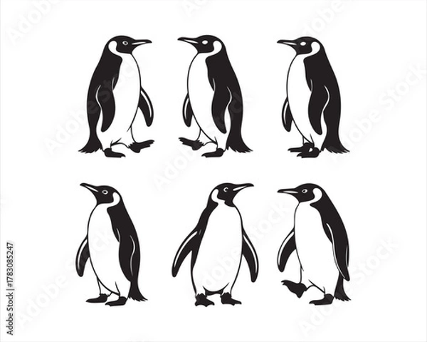 Fototapeta penguin silhouette, penguin vector illustration, penguin collection, penguin set, cute penguin silhouette, walking penguin, minimal penguin design, black and white penguin, penguin logo design set