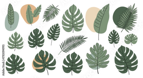 Fototapeta Set of hand-drawn stylized green tropical leaves and foliage with abstract organic shapes for a botanical summer design.