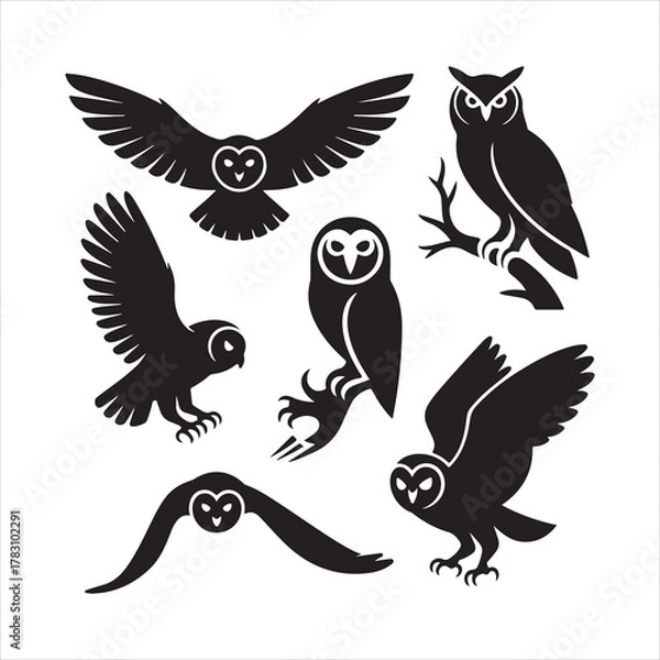 Fototapeta owl silhouette, owl vector illustration, owl collection, owl set, bird silhouette, night bird vector, wild owl design, sitting owl, owl head vector, animal vector art, spooky owl vector, black owl sil
