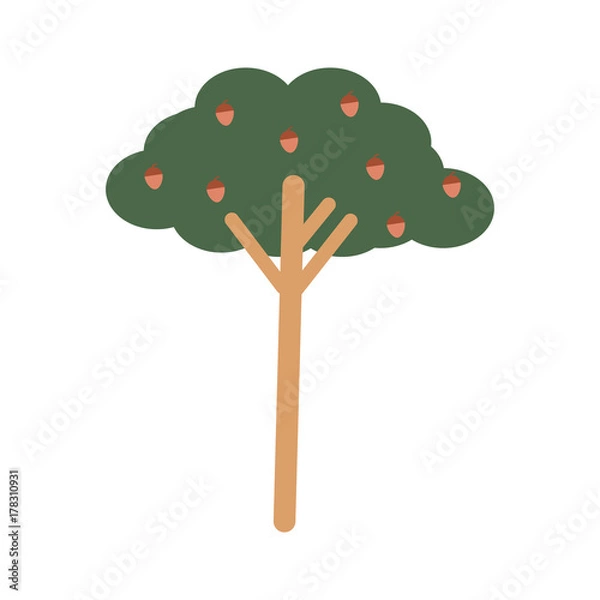 Fototapeta tree icon image