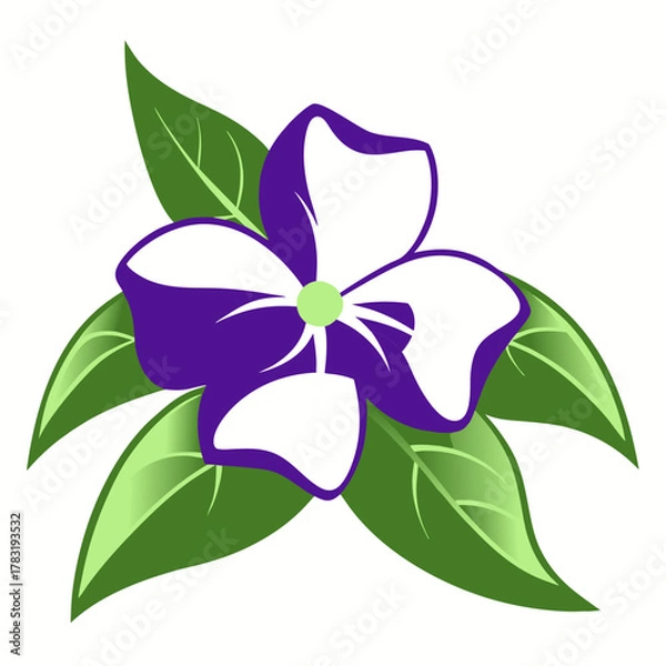 Fototapeta vector illustration of a flower