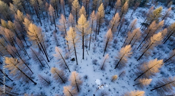 Obraz blue sky background