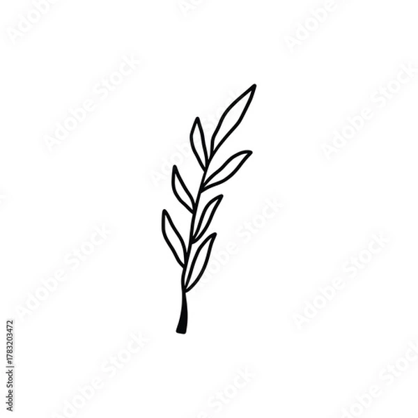 Fototapeta Hand drawn tattoo nature floral flowers, branches and leaves in line art style. Collection of sketches of botanical elements