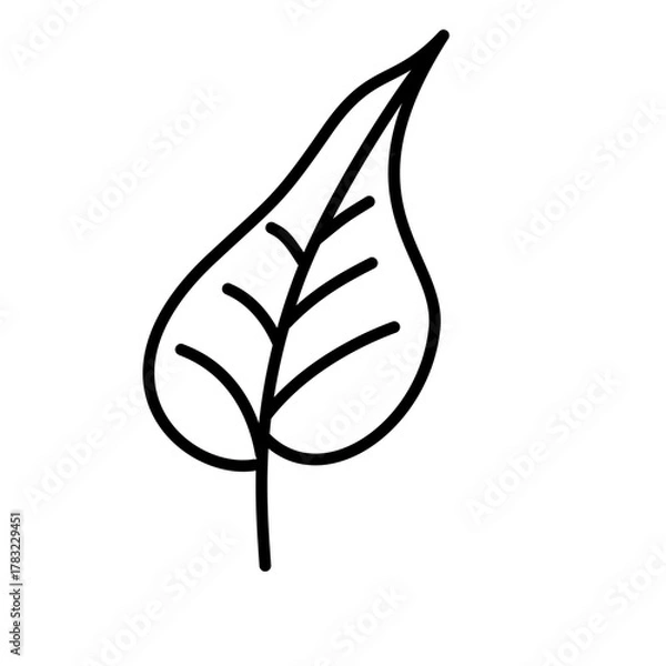 Obraz Hand-Drawn Leaf Drawing Doodle
