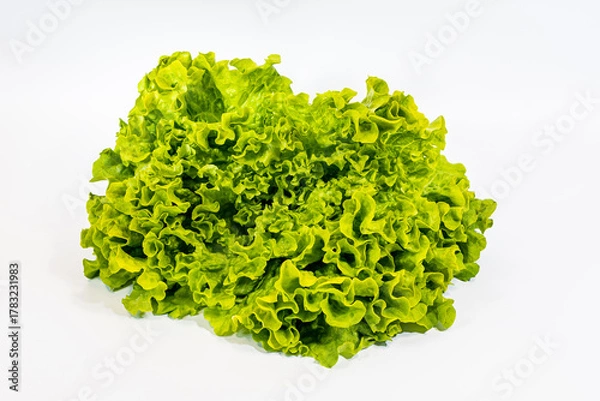 Fototapeta Salat081125a