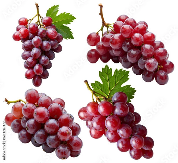 Fototapeta Fresh Red Grape Clusters – Botanical Illustration for Culinary Design, Food Packaging, and Healthy Lifestyle Presentations