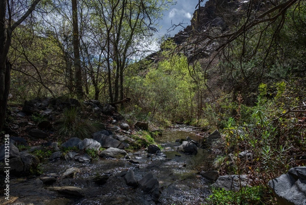 Fototapeta A tranquil view of Palancon stream in Bayarcal, Almeria, Spain, flowing through lush greenery and rocks under a partly cloudy sky