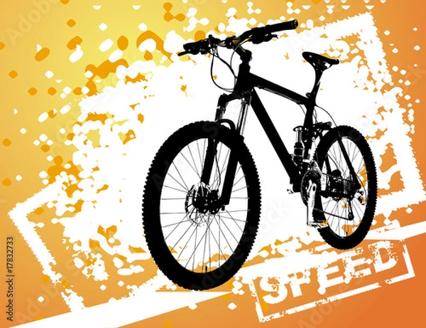 Fototapeta Vector illustration of bicycle on abstract background