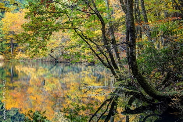 Obraz 秋の龍ヶ窪