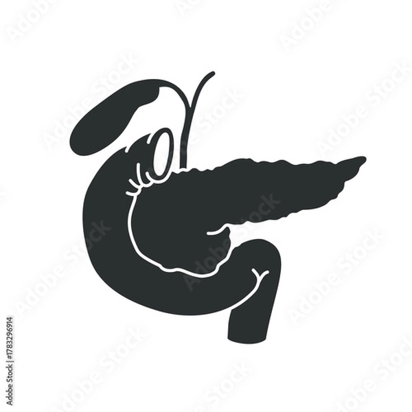 Fototapeta Pancreas organ logo flat design, pancreas icon, simple hand drawn organ vector illustration, flat design element. Illustration design for, logo, symbol, icon, and emblem.