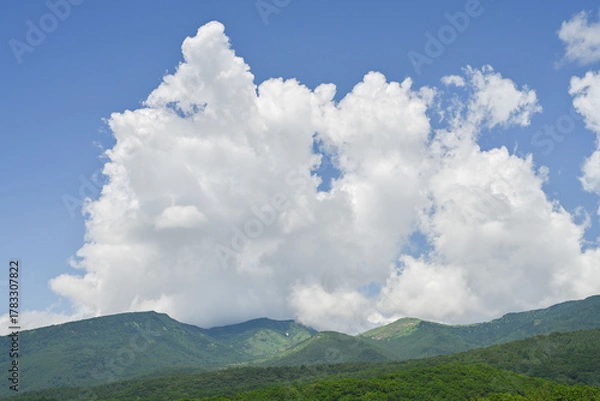 Fototapeta 夏空に白い雲が広がる山の風景, 群馬県, 日本