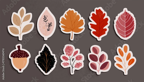 Fototapeta 秋の自然をテーマにした、手描きの様々な落ち葉のベクターイラストセットで、温かみのある季節感を表現しています。