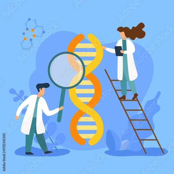 Obraz tow doctors studying DNA strand
