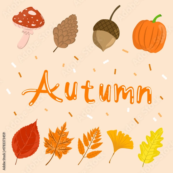 Obraz Autumn forest elements with colorful leaves