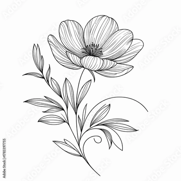 Fototapeta Simple Line Art Flower Minimalist Floral Outline Vector Illustration Black and White Botanical Drawing Elegant Bloom Icon Tattoo Design Element Graphic