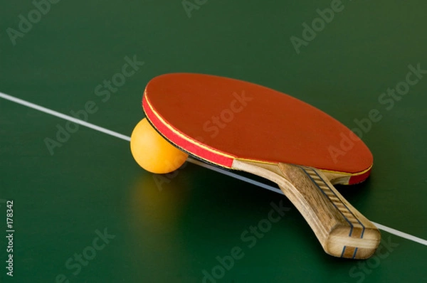 Obraz table tennis bat