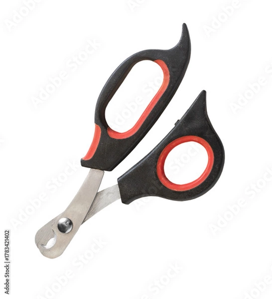 Obraz Pe nail scissors isolated on white