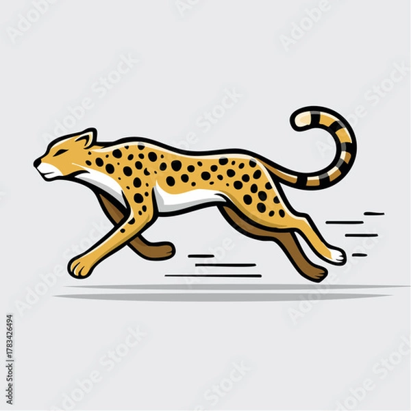 Fototapeta Vector illustration of a running cheetah on a white background
