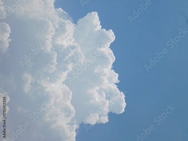 Fototapeta Beautiful White Puffy Clouds and Summer Sky