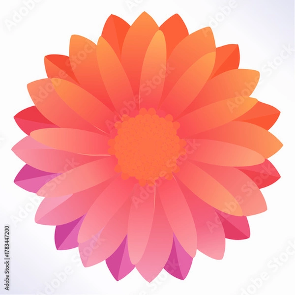 Fototapeta Vibrant vector illustration of a blooming flower with layered petals