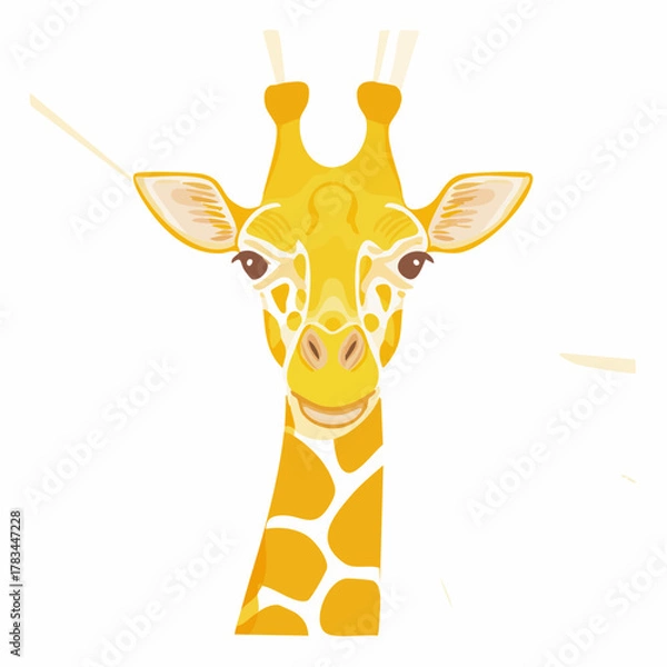 Fototapeta Vibrant vector illustration of a smiling giraffe head on white background