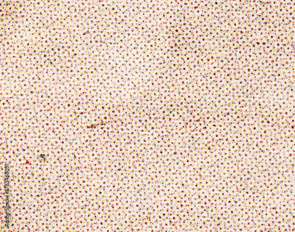Obraz CMYK Halftone Dot Matrix on White Textured Paper