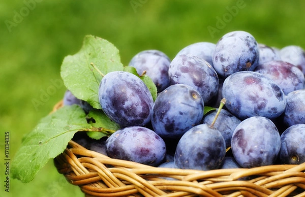 Fototapeta Śliwka w koszu