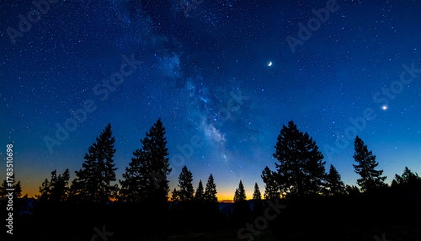 Obraz Milky Way over Forest