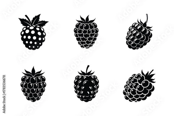 Fototapeta Six black berry silhouettes isolated on white background in different shapes