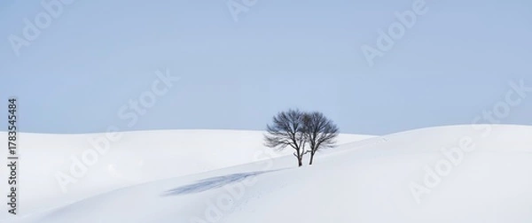 Obraz snow covered branches