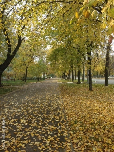 Obraz City street in autumn