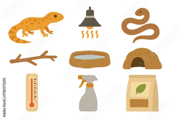 Obraz Essential equipment and accessories for reptile pet care in a terrarium habitat