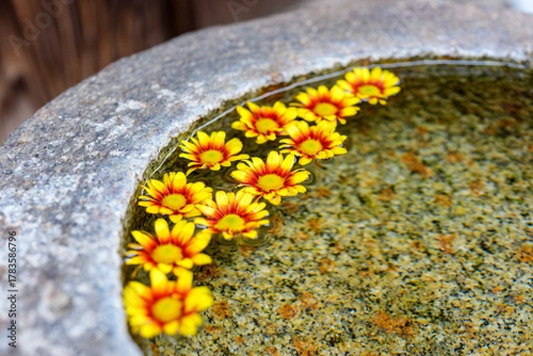 Fototapeta 石鉢に浮かべられた鮮やかな黄色い花