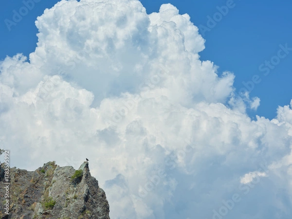 Obraz 夏の入道雲と一羽の鳥