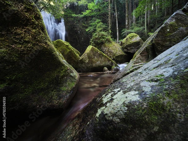 Obraz 苔の岩と滝